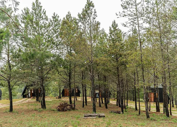 Chales Naturale - Campos Do Jordao - Cna