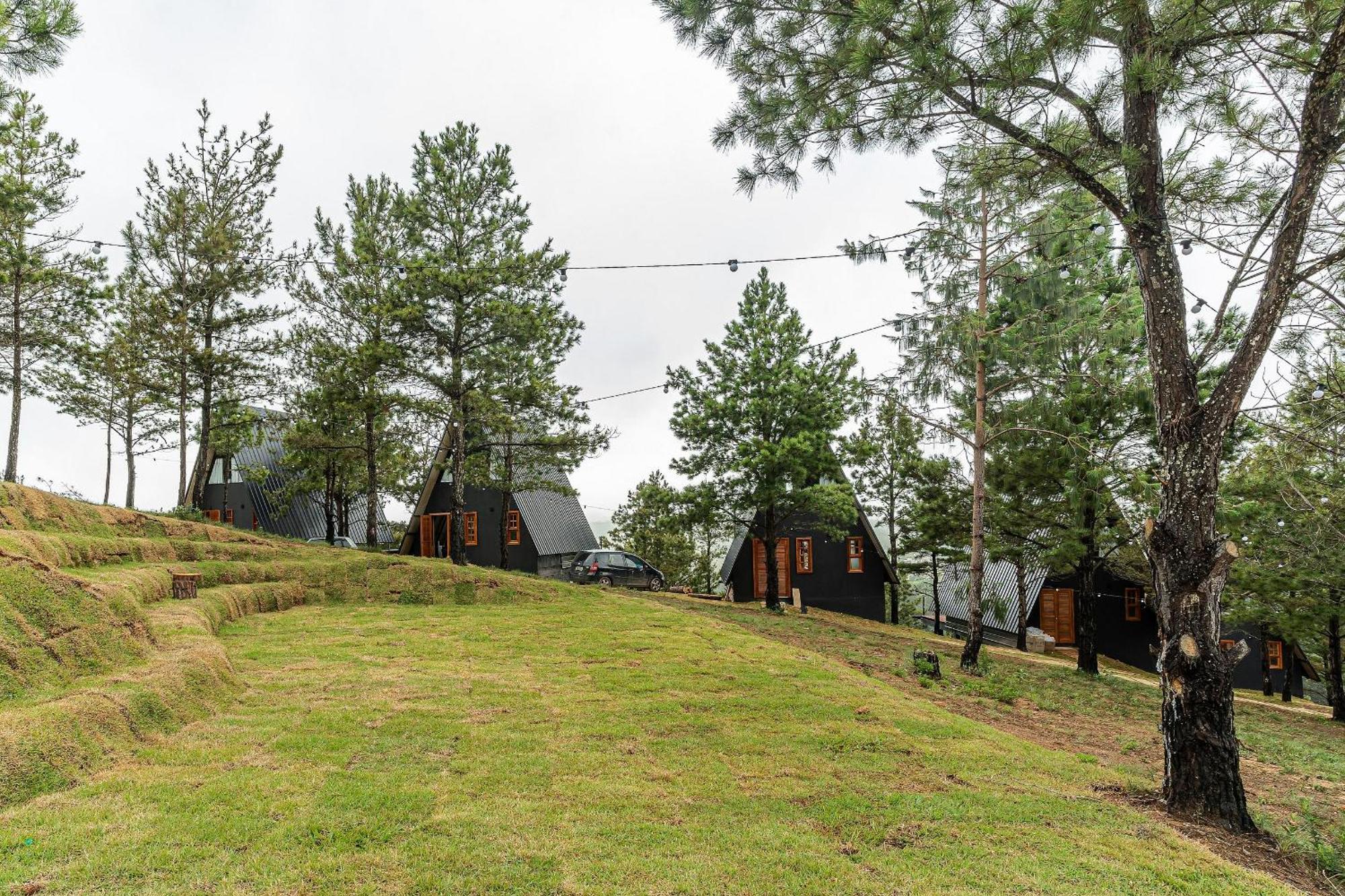 Chalet Naturale - - Cna
