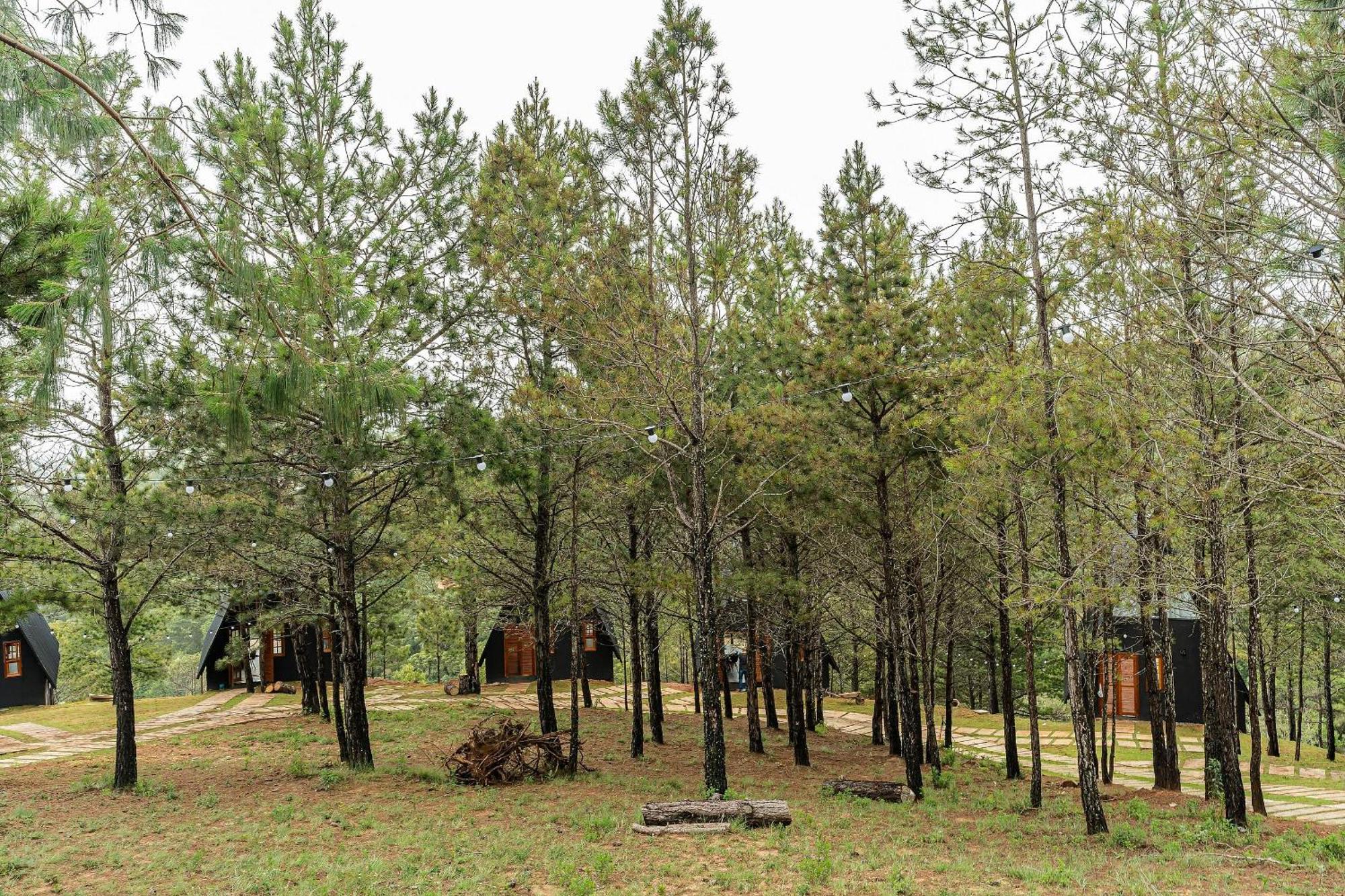 Chalet Naturale - - Cna Campos do Jordao